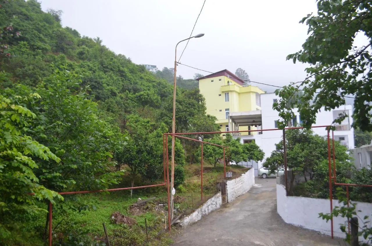 Akhmed Guest House Квариати 0*,  Грузия